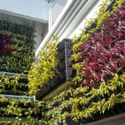 CGASPL Vertical Garden, Wall Garden Panel-1 Frame And 3 Pots With Screws