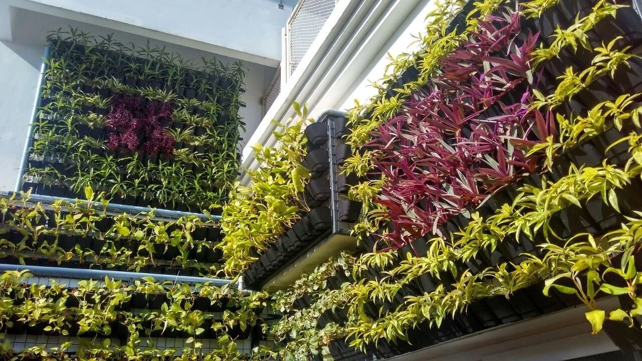 CGASPL Indoor & Outdoor Vertical Garden Planters Bio Wall Hanging (5 Frames + 15 Pots ) With Self Drill Screws Vertical Garden Pots 4 CGASPL Indoor & Outdoor Vertical Garden Planters Bio Wall Hanging (5 Frames + 15 Pots ) With Self Drill Screws Vertical Garden Pots