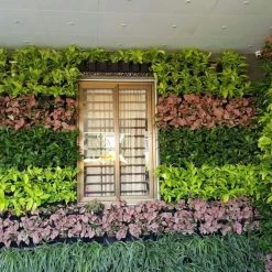 CGASPL Vertical Garden Wall Hanging Pot Vertimax Black Pot-Planters