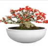 CGASPL Pot-Planters Illuminated Planter 9158 1 CGASPL Pot-Planters Illuminated Planter 9158