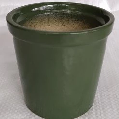 CGASPL Pot-Planters Shiny Turtle Green Round Ceramic Pot (Pack Of 3)