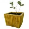CGASPL Anemone Square Fiber Planter Pot-Planters 1 CGASPL Anemone Square Fiber Planter Pot-Planters