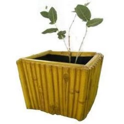 CGASPL Anemone  Square Fiber Planter Pot-Planters