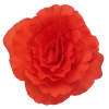 CGASPL Begonia Tuberhybrida Nonstop Deep Salmon Flower Seeds