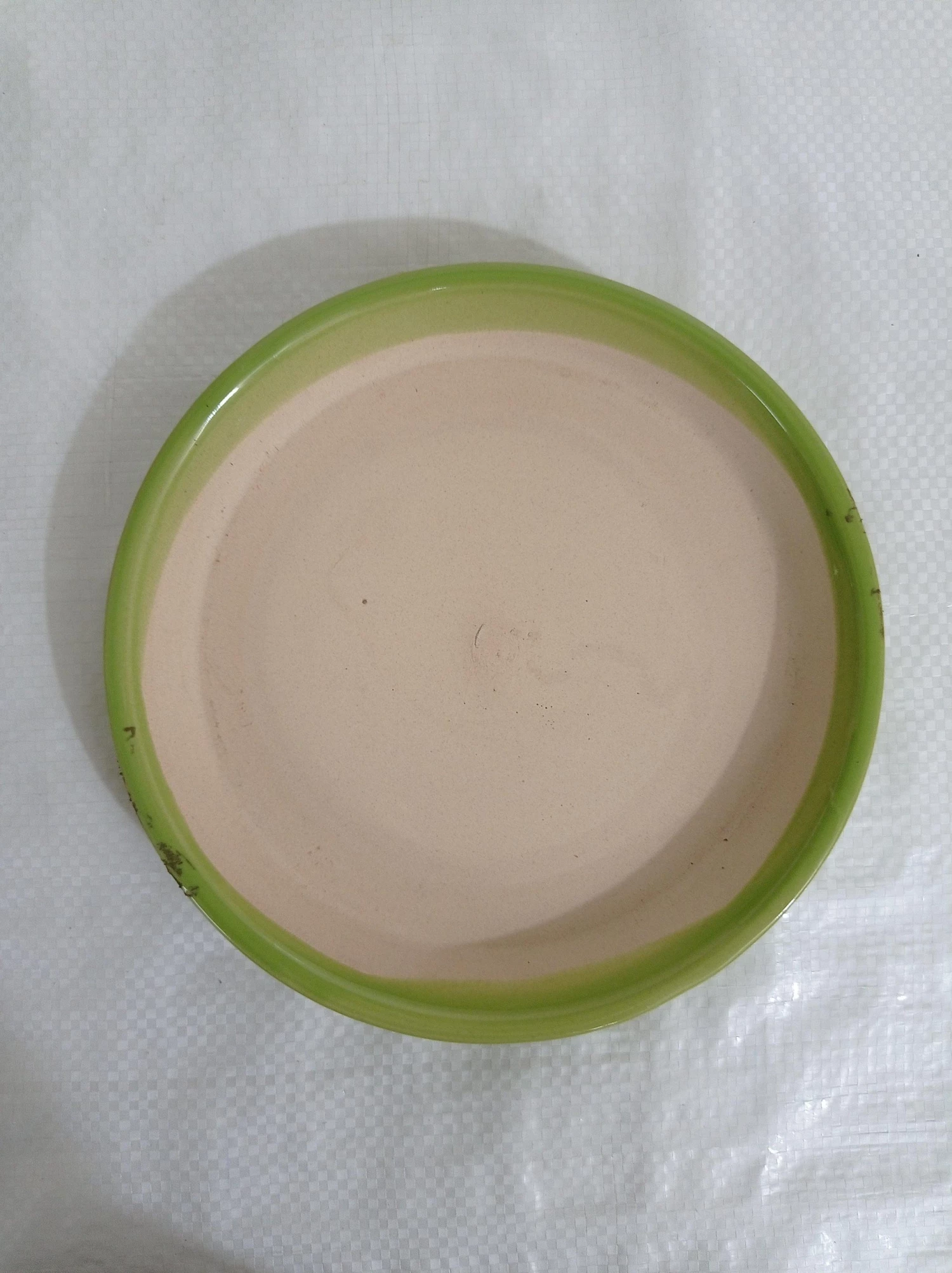 CGASPL Big Painted Fancy Parrot Green Round Ceramic Pot 5 CGASPL Big Painted Fancy Parrot Green Round Ceramic Pot