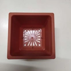 ChhajedGarden.com Bonzi Square Pot - 10 Cm(Terracotta)