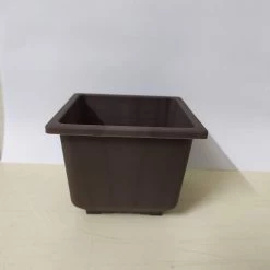 ChhajedGarden.com Bonzi Square Pot - 10 Cm(Brown)