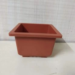 ChhajedGarden.com Pot-Planters Bonzi Square Pot - 14 Cm(Terracotta)