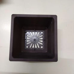 ChhajedGarden.com Bonzi Square Pot - 10 Cm(Brown)