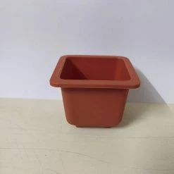 ChhajedGarden.com Bonzi Square Pot - 7 Cm(Terracotta) Pot-Planters