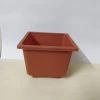 ChhajedGarden.com Bonzi Square Pot - 10 Cm(Terracotta)