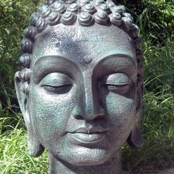 CGASPL Budhha Head