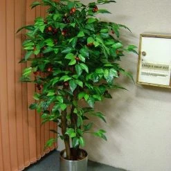 CGASPL Artificial Cherry Fruit Plant - 6 Feet Artificial Plants