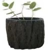 CGASPL Pot-Planters Daffodil Round Fiber Planter 1 CGASPL Pot-Planters Daffodil Round Fiber Planter