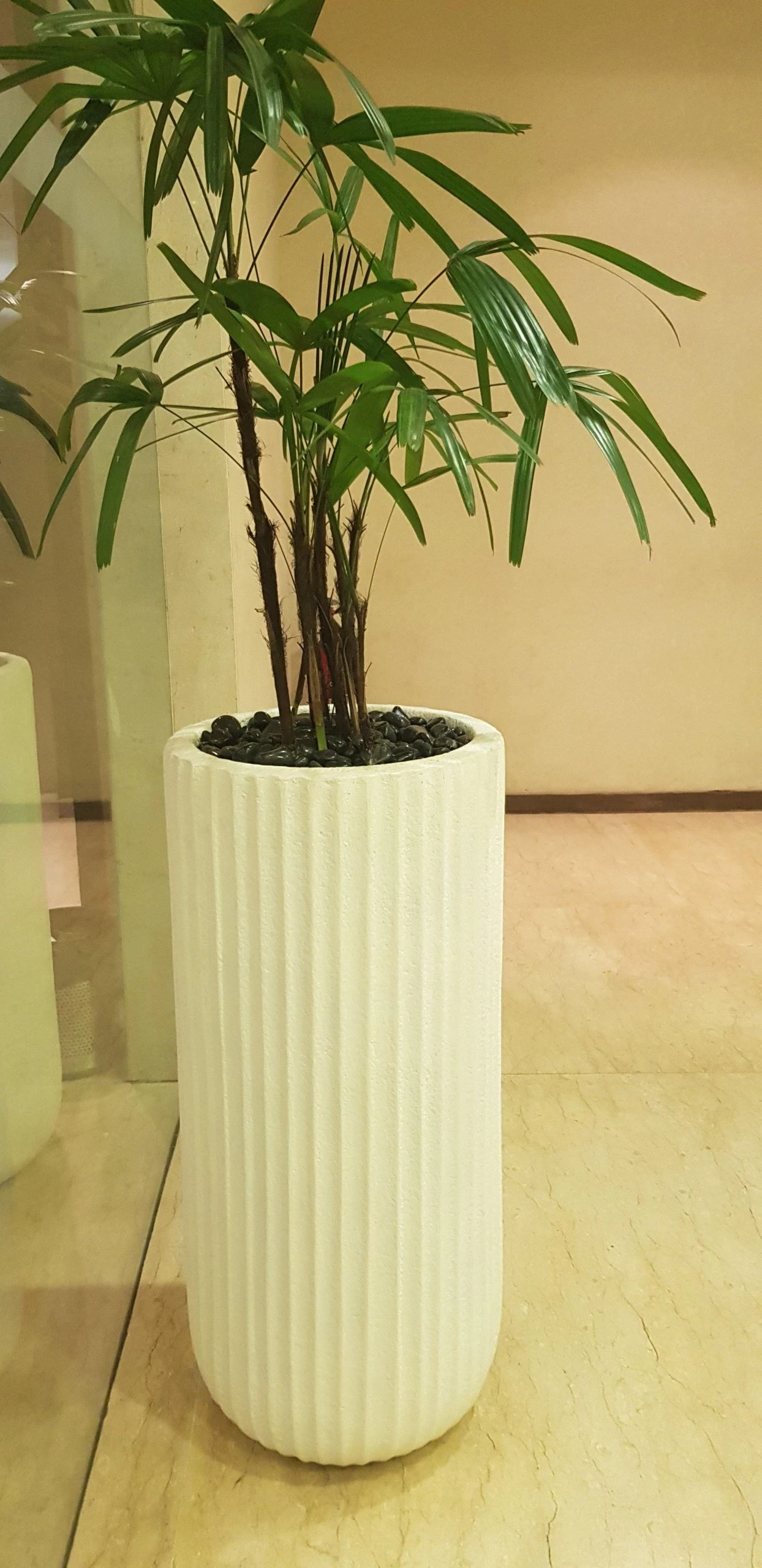 CGASPL Exquisite Fiber Planter Pot-Planters 3 CGASPL Exquisite Fiber Planter Pot-Planters