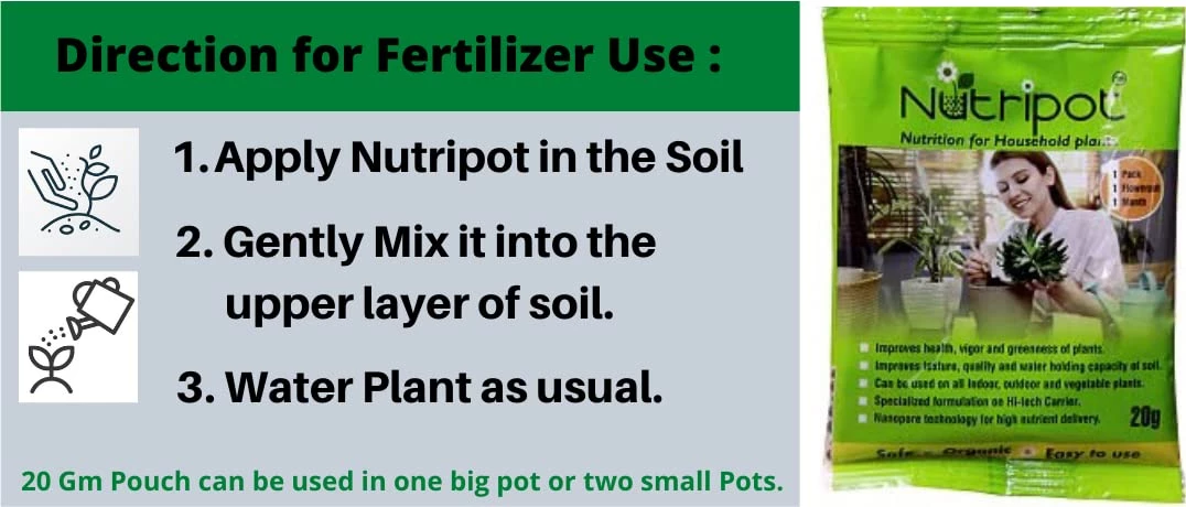 CGASPL Plants Air Purifier Varigated Money Plant (Pot Included) With 5 Gram Fertilizer Free - Easy To Grow Real Indoor Plant For Home, Living Room, Kitchen, Office, Table 10 CGASPL Plants Air Purifier Varigated Money Plant (Pot Included) With 5 Gram Fertilizer Free - Easy To Grow Real Indoor Plant For Home, Living Room, Kitchen, Office, Table