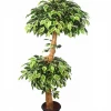 CGASPL Artificial Varigated Ficus Double Topiary In Coffee Wood-2 X 1 -5 Feet Artificial Plants