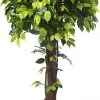 CGASPL Artificial Ficus Topiary Plant In Coffee Wood -4 Feet Artificial Plants