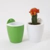 CGASPL Green-White Self Watering Hanging Planter Flower Pot 2 CGASPL Green-White Self Watering Hanging Planter Flower Pot