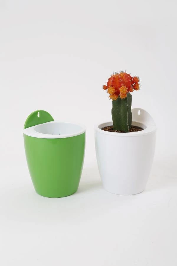 CGASPL Green-White Self Watering Hanging Planter Flower Pot 3 CGASPL Green-White Self Watering Hanging Planter Flower Pot