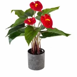 CGASPL Artificial Plants Artificial Anthurium In Grey Pot , Height -1.5 Ft ( Pack Of 6 Plants)