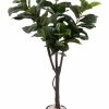 CGASPL Artificial Plants Artificial Nature Touch Fiddle Leaf Plant ( Without Pot ) , Height -6 Ft
