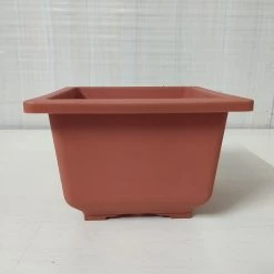 CGASPL Pot-Planters Bonzi Square Pot -17 Cm (Terracotta)