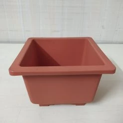 CGASPL Pot-Planters Bonzi Square Pot -17 Cm (Terracotta)