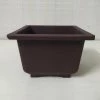 CGASPL Pot-Planters Bonzi Square Pot -17 Cm (Brown)
