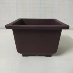 CGASPL Pot-Planters Bonzi Square Pot -17 Cm (Brown)
