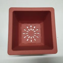 CGASPL Pot-Planters Bonzi Square Pot -17 Cm (Terracotta)