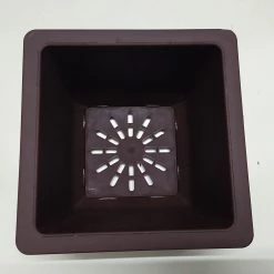 CGASPL Pot-Planters Bonzi Square Pot -17 Cm (Brown)