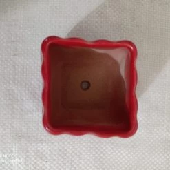 CGASPL Mini Square Ceramic Pot Red (Pack Of 6)