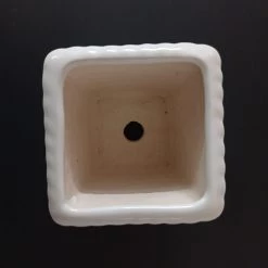 CGASPL Honeycomb Ceramic Pot White (Pack Of 3) Pot-Planters