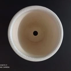 CGASPL Ceramic Pot Round Dotted White (Pack Of 3) Pot-Planters 9 CGASPL Ceramic Pot Round Dotted White (Pack Of 3) Pot-Planters