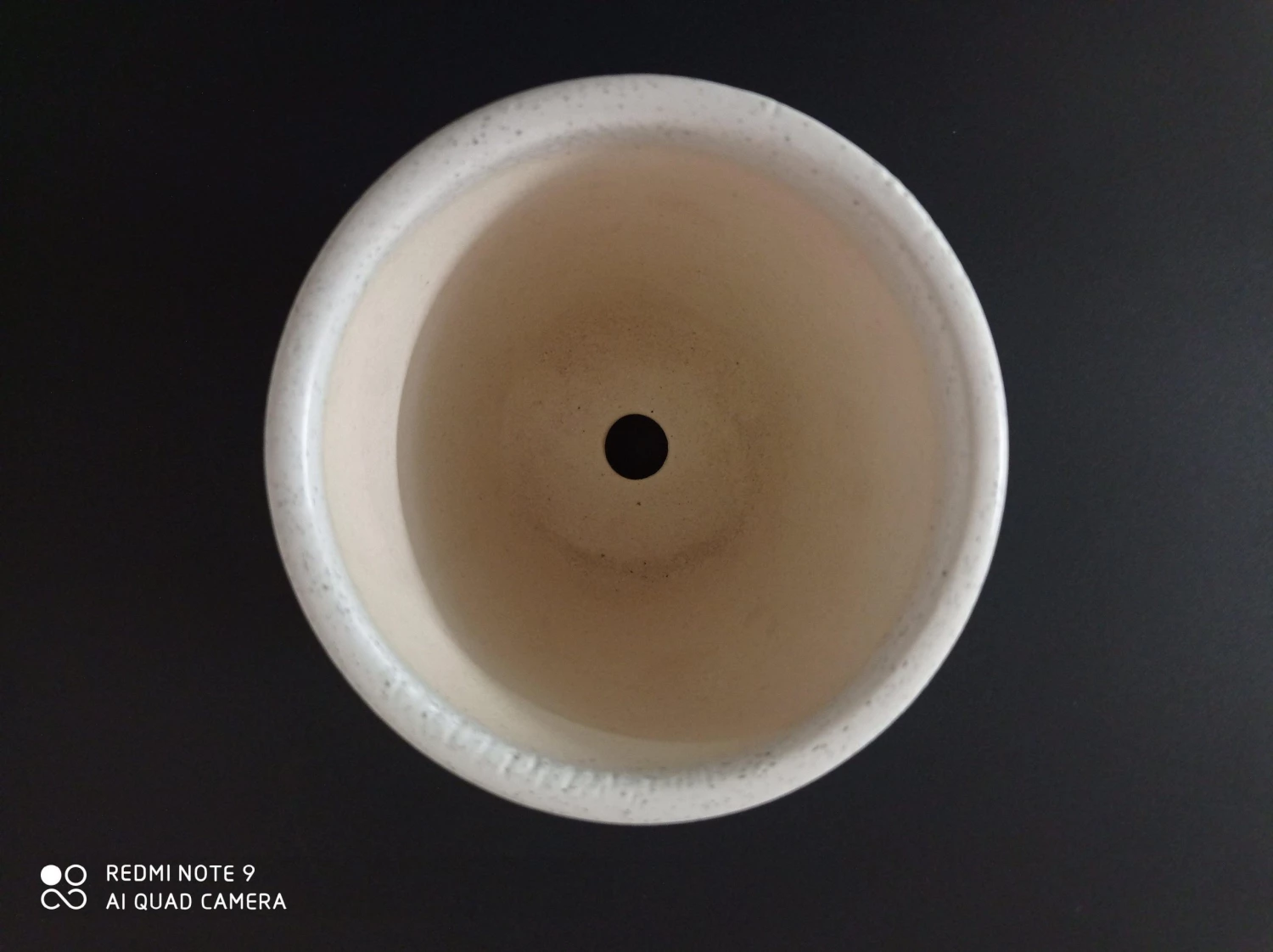 CGASPL Ceramic Pot Round Dotted White (Pack Of 3) Pot-Planters 5 CGASPL Ceramic Pot Round Dotted White (Pack Of 3) Pot-Planters