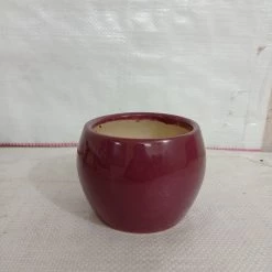 CGASPL Handi Shaped Round Ceramic Pot Grape Wine Color