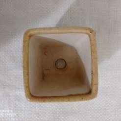 CGASPL Pot-Planters Small Square Ceramic Pot Cream Color (Pack Of 3)