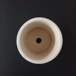 CGASPL Pot-Planters Small Round Ceramic Pot White (Pack Of 6) 8 CGASPL Pot-Planters Small Round Ceramic Pot White (Pack Of 6)