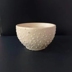 CGASPL Cup Shaped Ceramic Pot With Plate Cream Color02 Pot-Planters