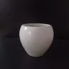 CGASPL Pot-Planters Round White Ceramic Pot