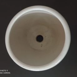CGASPL Pot-Planters Round White Ceramic Pot