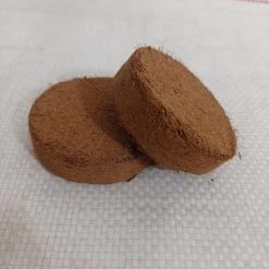 CGASPL Plant Food Seed Sowing Coco Plugs 50 Mm (Pack Of 25)