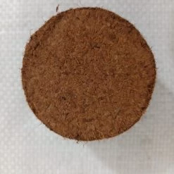 CGASPL Plant Food Seed Sowing Coco Plugs 50 Mm (Pack Of 25)