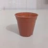 CGASPL 2" Sunrise Pot Terracotta (5.5 Cm) Pot-Planters