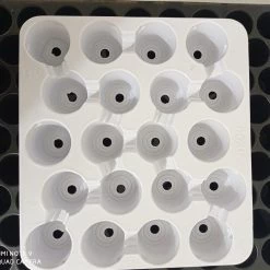 CGASPL Pot-Planters Easy Grow 20 Cavity Tray With Pot