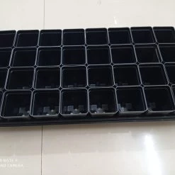 CGASPL Pot-Planters Easy Grow 32 Cavity Tray With Pot