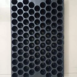 CGASPL Seedling Tray Round 102 Cells (Disposal) (Pack Of 12) Pot-Planters