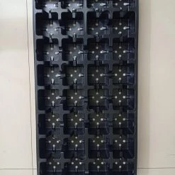 CGASPL Pot-Planters Easy Grow 32 Cavity Tray With Pot