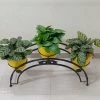 CGASPL 3 Pot Semi Circle Stand